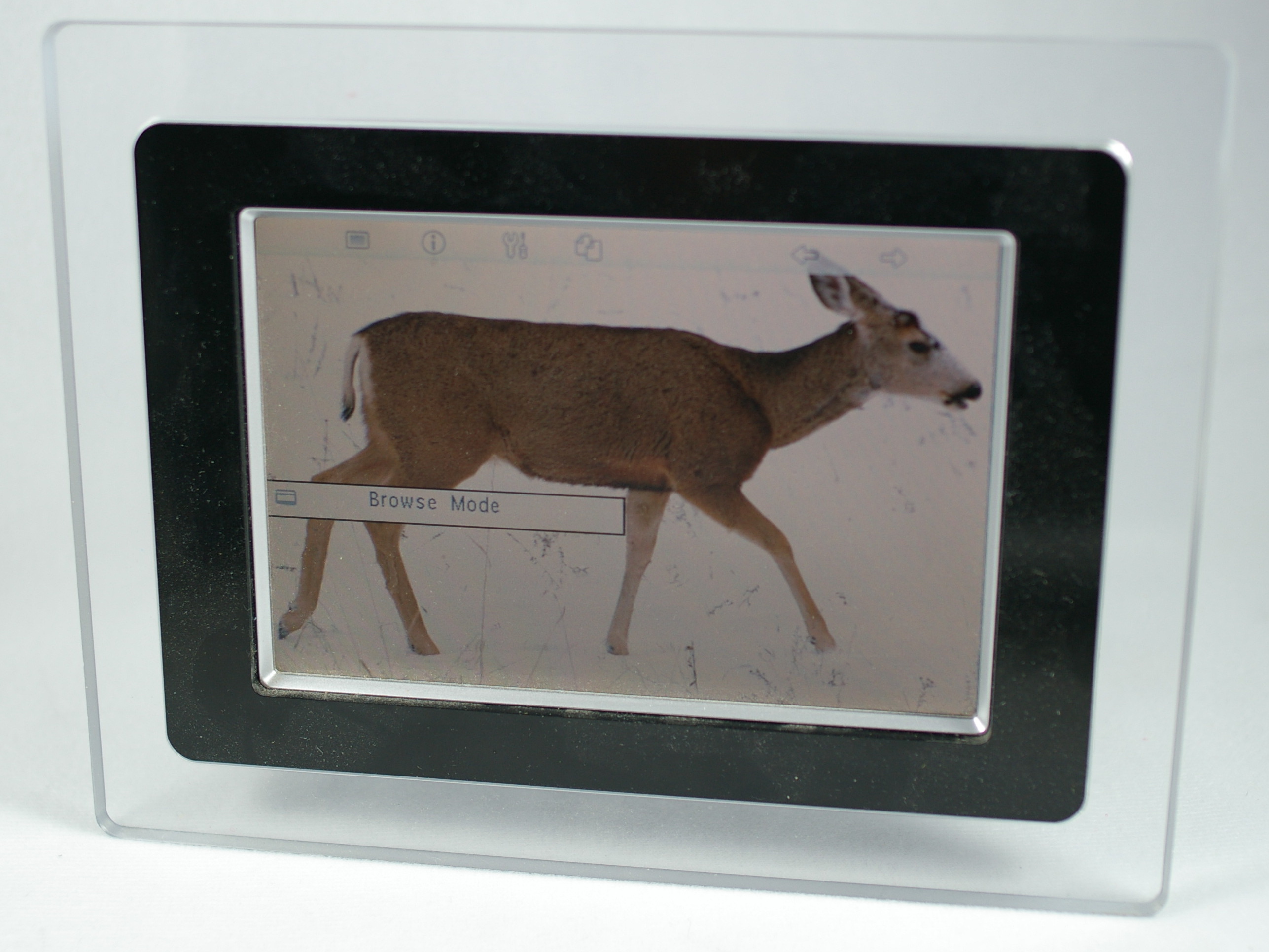 Digital photo frame displaying a photo on its screen